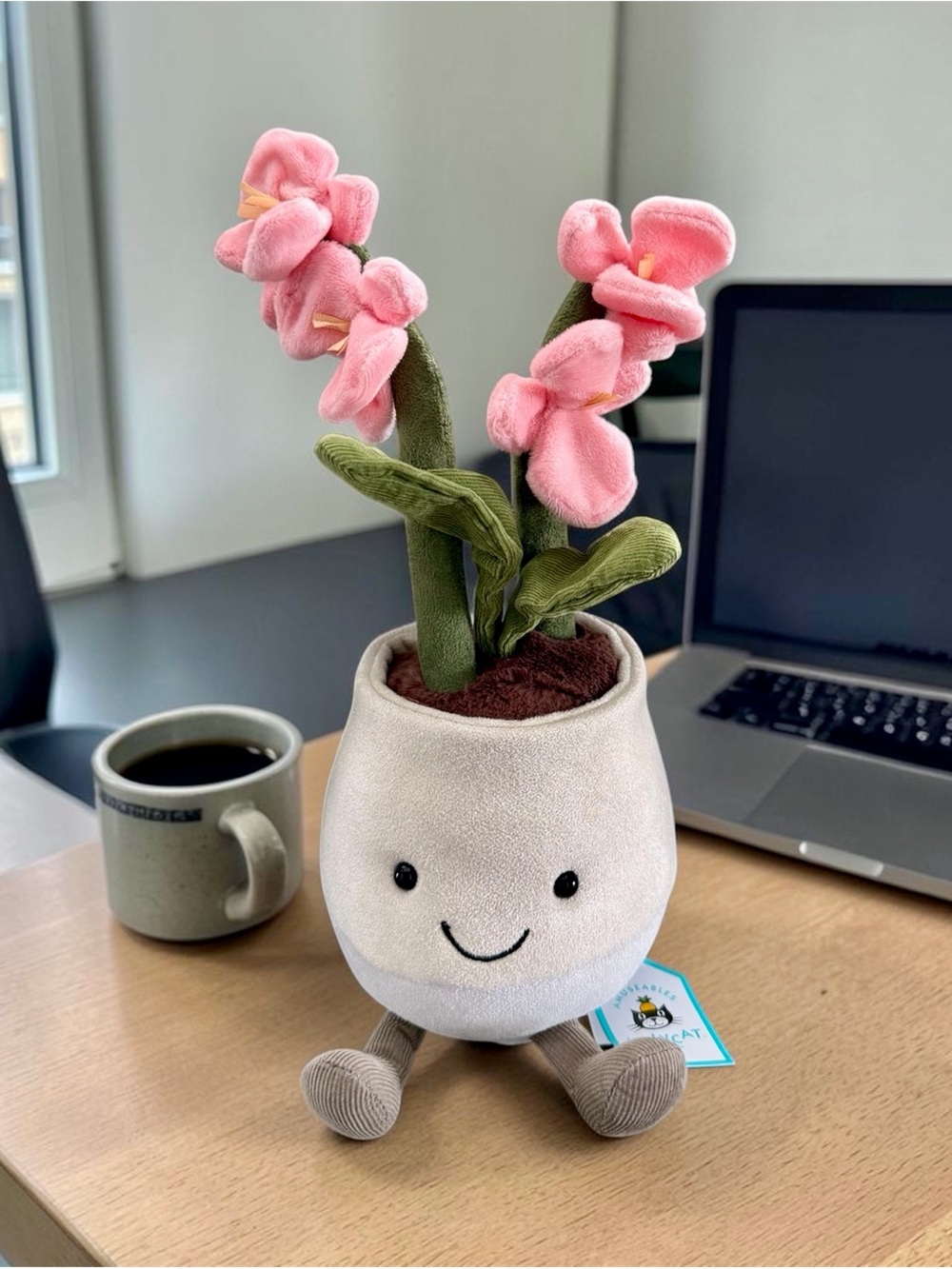 🌸𝐀𝐮𝐭𝐡𝐞𝐧𝐭𝐢𝐜 𝐉𝐞𝐥𝐥𝐲𝐜𝐚𝐭 𝐀𝐦𝐮𝐬𝐞𝐚𝐛𝐥𝐞𝐬 𝐏𝐢𝐧𝐤 𝐎𝐫𝐜𝐡𝐢𝐝🌸